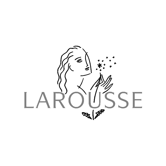 editions-larousse-4316-1466581788